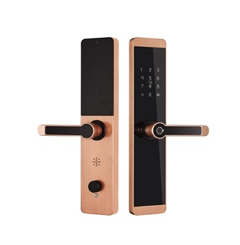Khóa vân tay Kassler KL-600- MÀU ĐỒNG-3